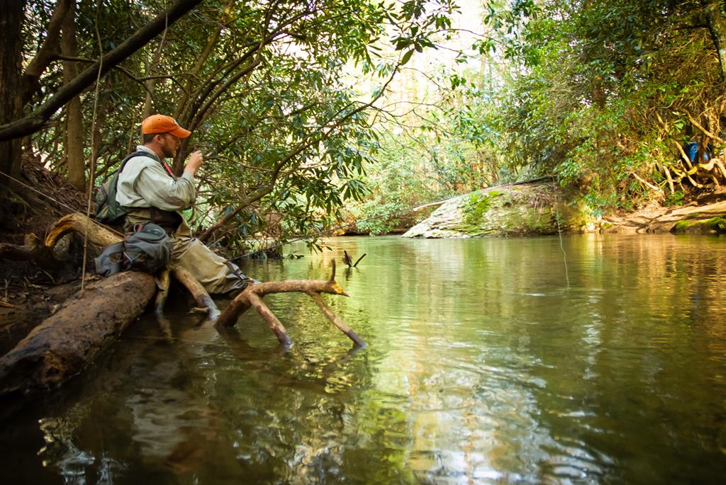 49/50 Hemlock Circle