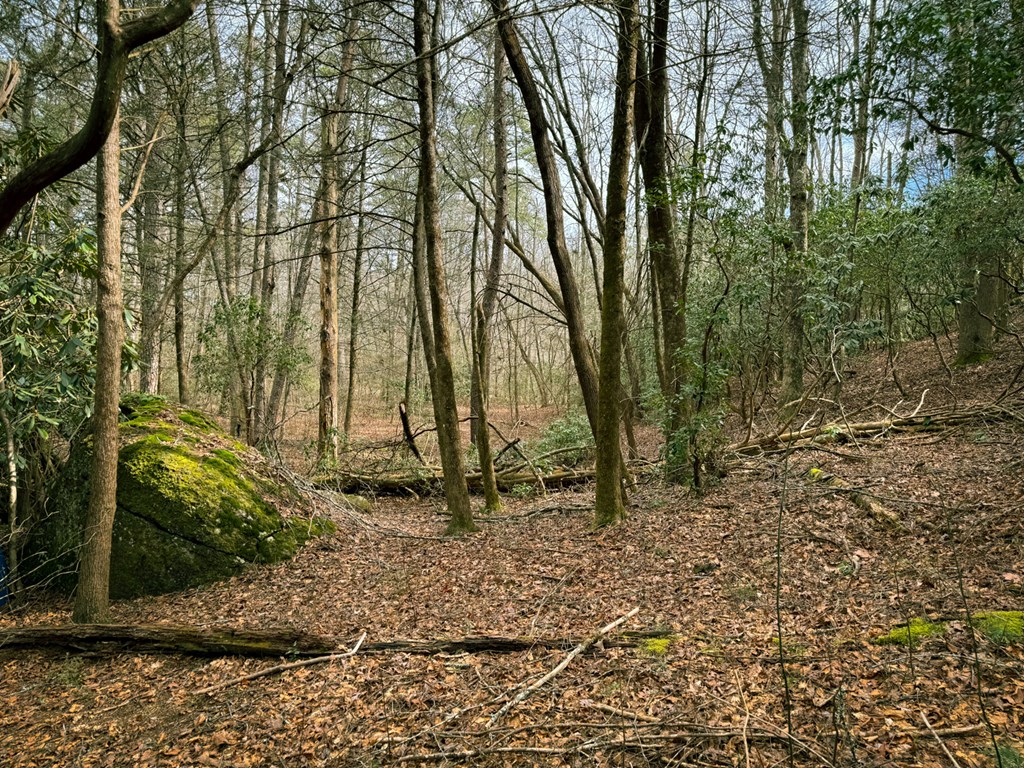 49/50 Hemlock Circle