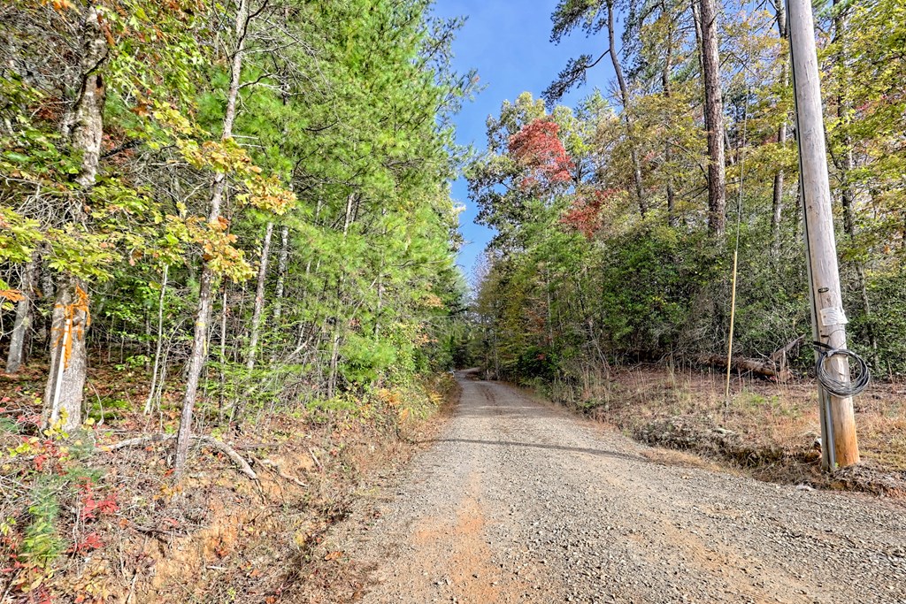 190 Train Tracks Trail