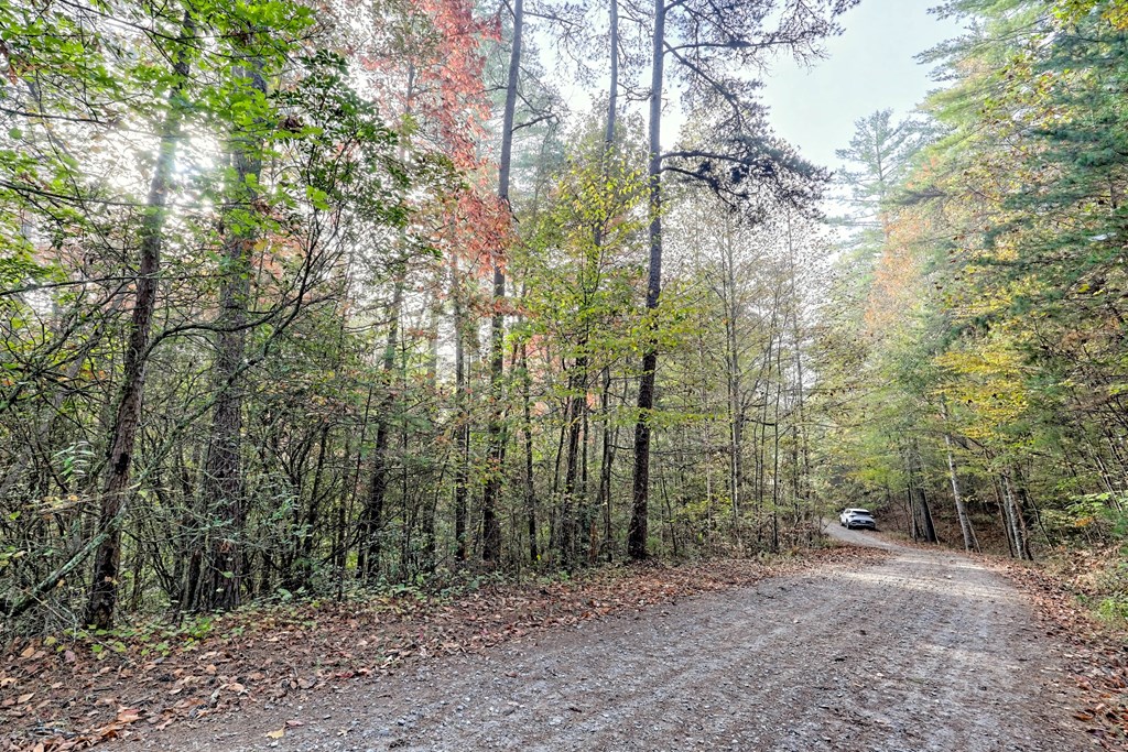 190 Train Tracks Trail