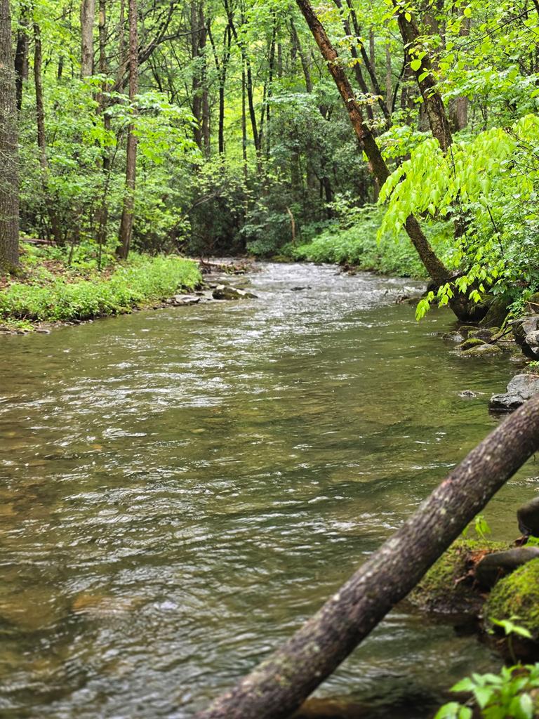 2839 Helton Creek Road