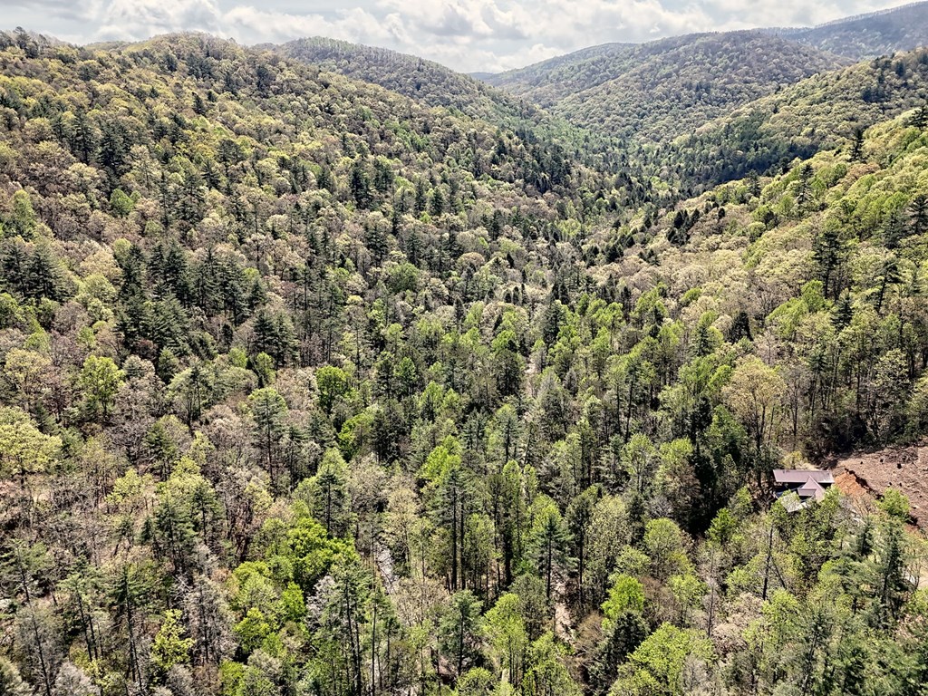 2839 Helton Creek Road