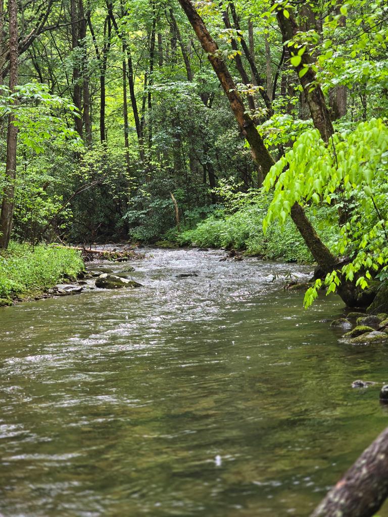 2839 Helton Creek Road