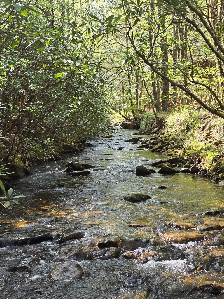 2839 Helton Creek Road