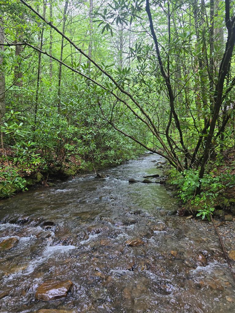 2839 Helton Creek Road