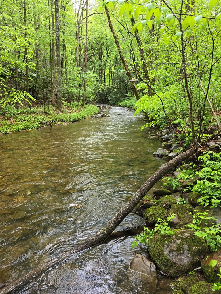 2839 Helton Creek Road