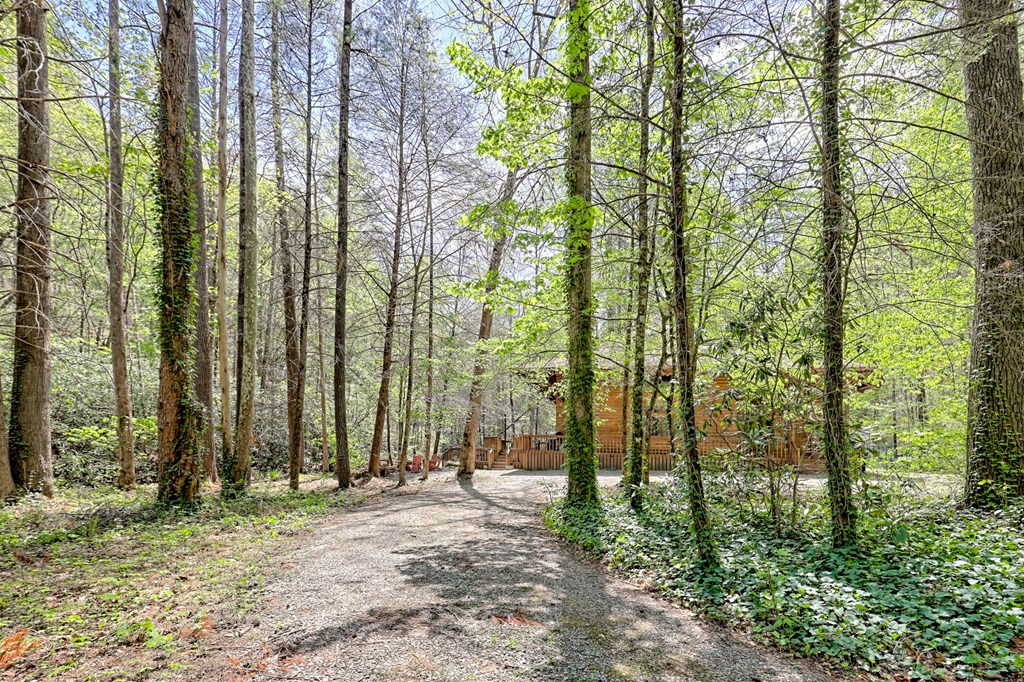 2839 Helton Creek Road