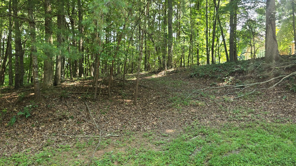 Lot 4 V Addington Road