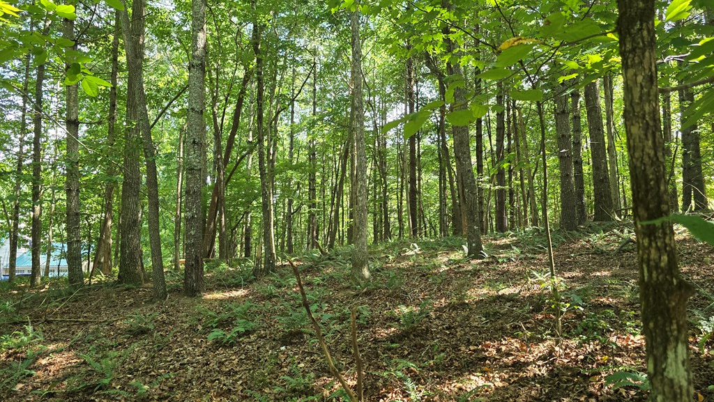 Lot 4 V Addington Road