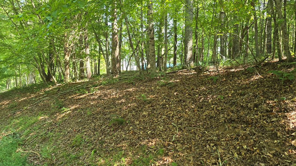 Lot 4 V Addington Road