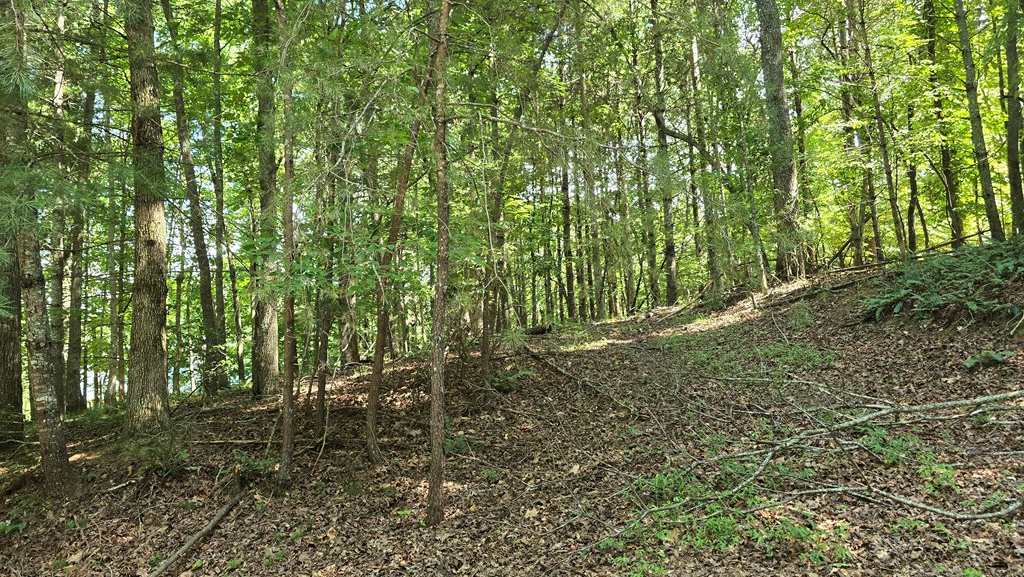 Lot 4 V Addington Road