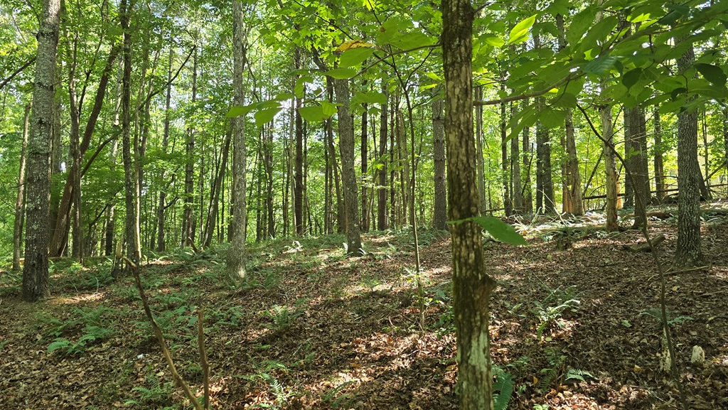 Lot 4 V Addington Road