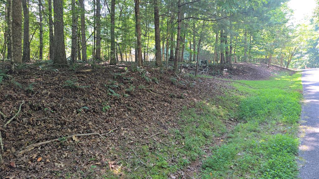 Lot 4 V Addington Road