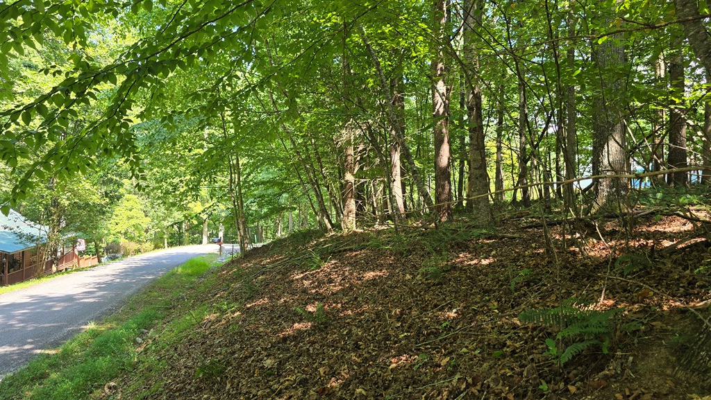 Lot 4 V Addington Road