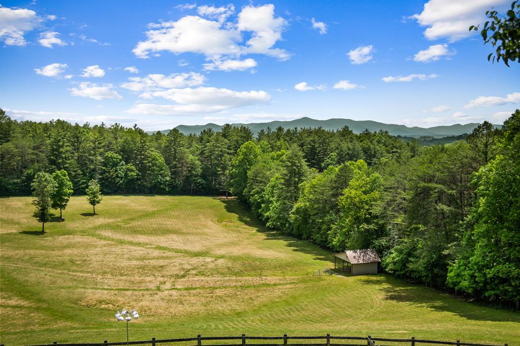 341 Holly Lane Road