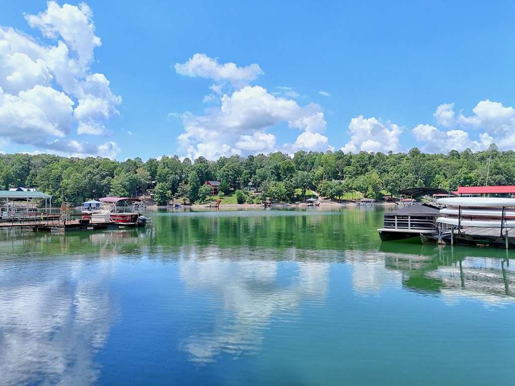 993 Lakeside Drive