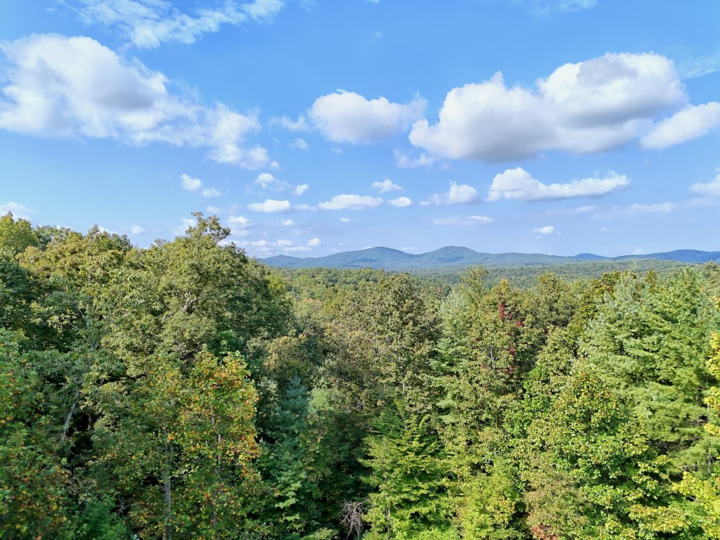 106 Lost Trail