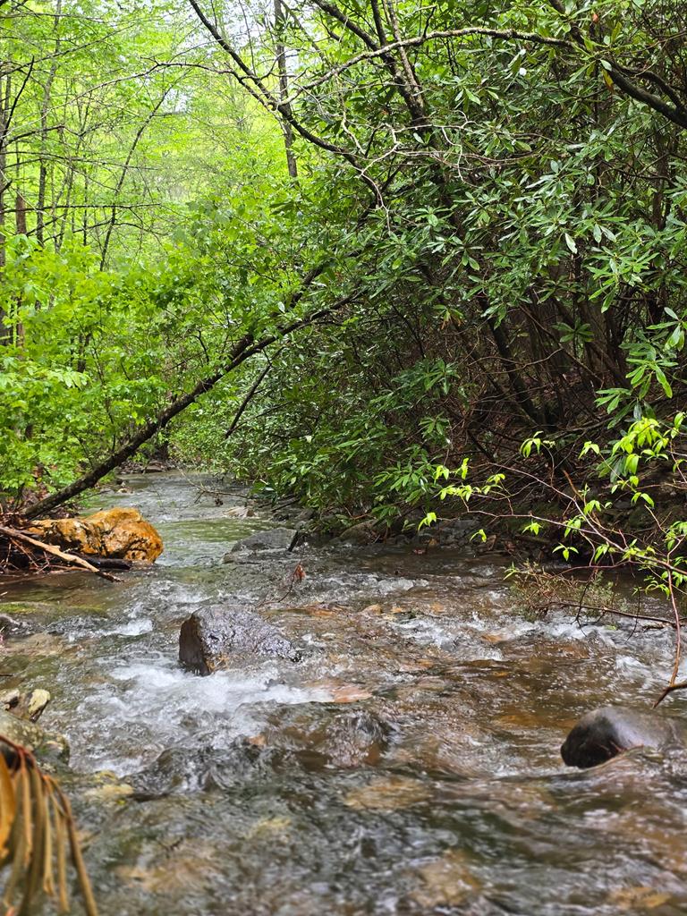 2839 Helton Creek Road