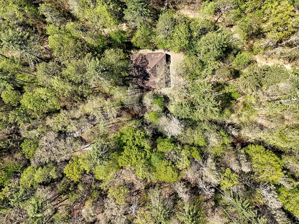 2839 Helton Creek Road