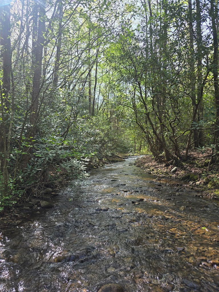 2839 Helton Creek Road