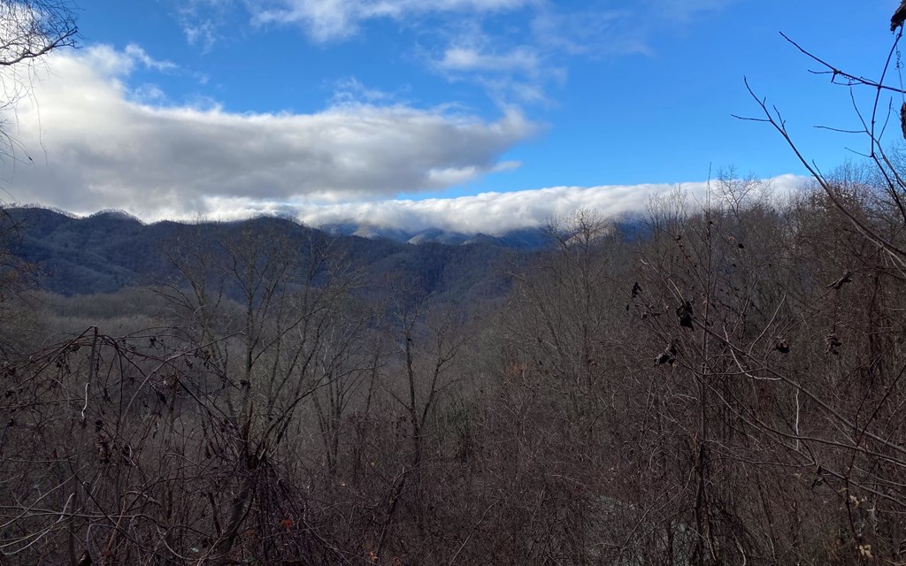 Lot J1 Georgianna Lane