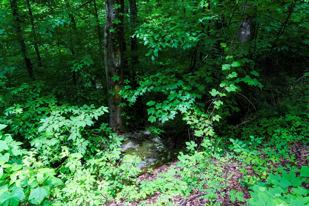 Lot J1 Georgianna Lane