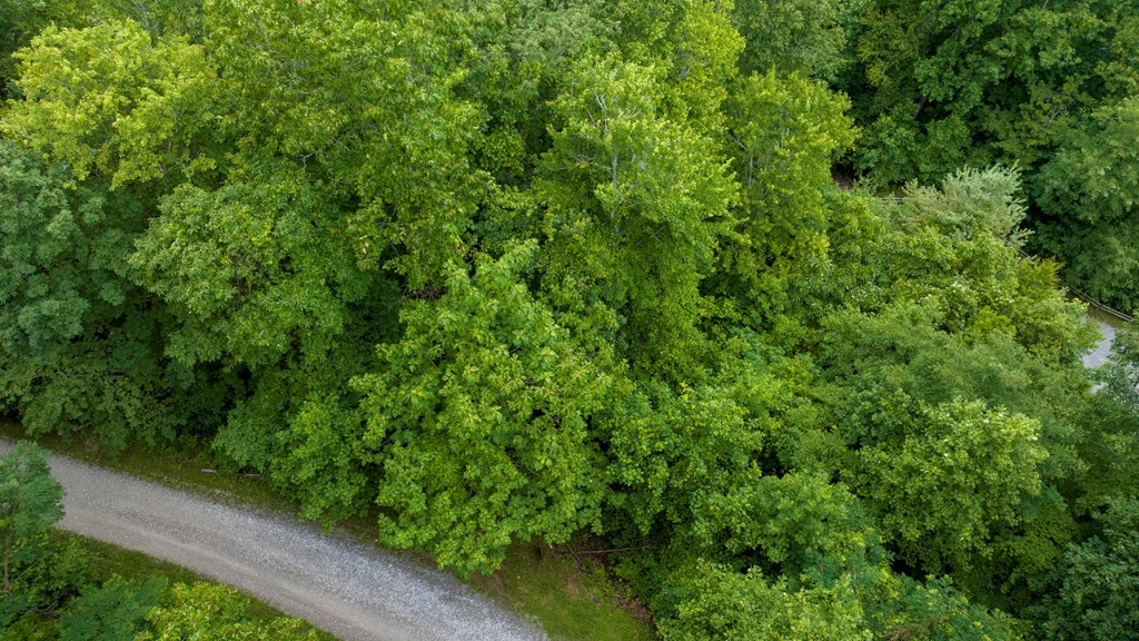 Lot J1 Georgianna Lane
