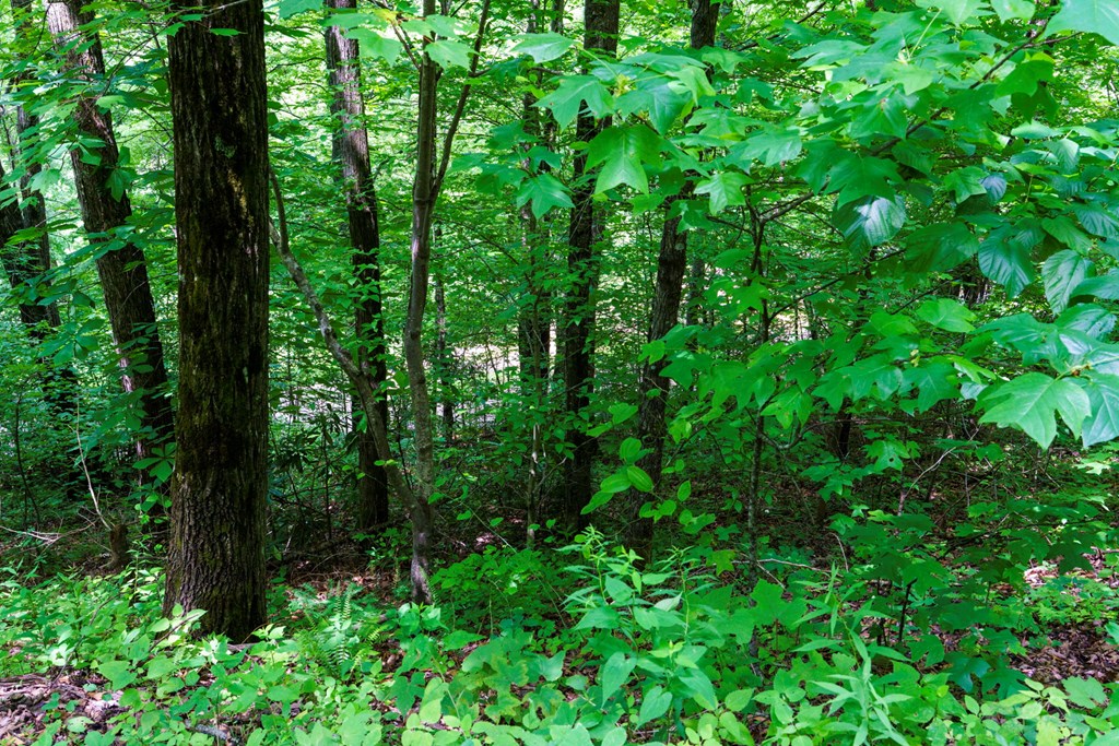 Lot J1 Georgianna Lane
