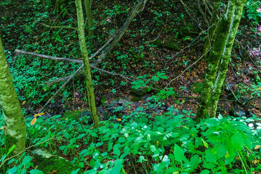 Lot Off Buck Naked