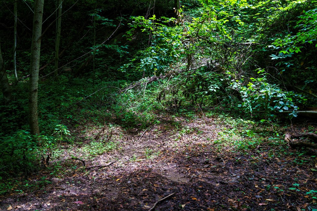 Lot Off Buck Naked