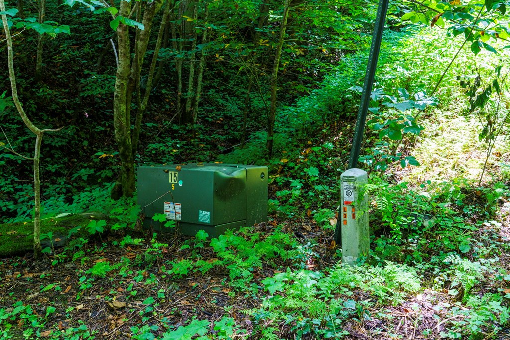 Lot Off Buck Naked