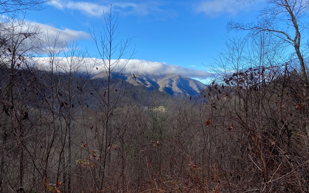 Lot M2 Georgianna Lane