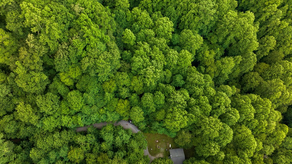 Lot M2 Georgianna Lane