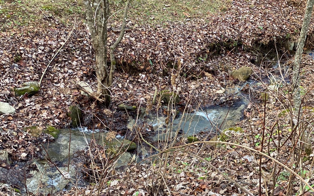 Lot M2 Georgianna Lane