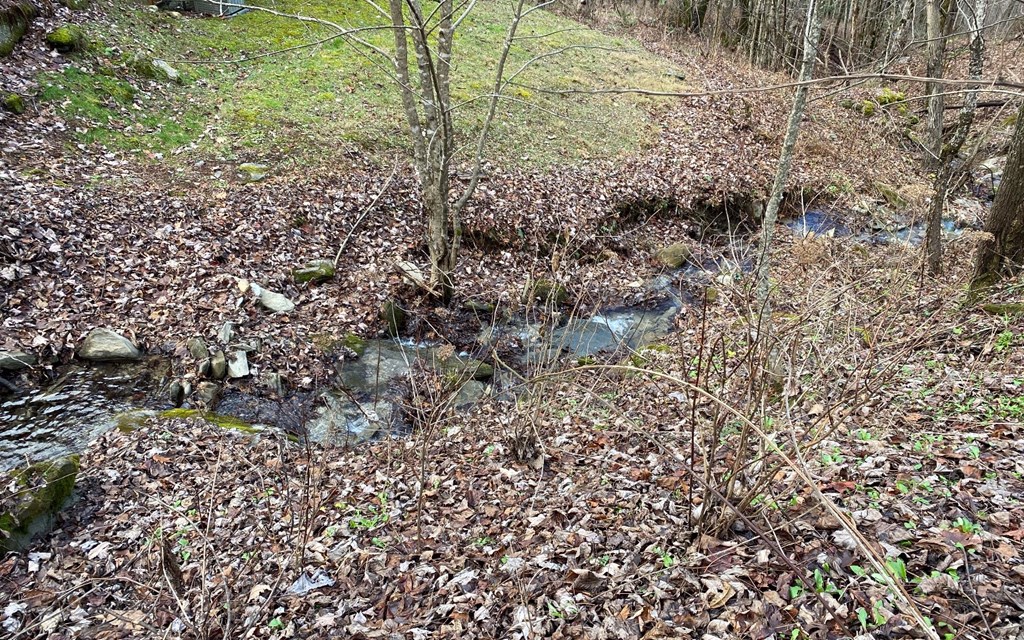 Lot M2 Georgianna Lane