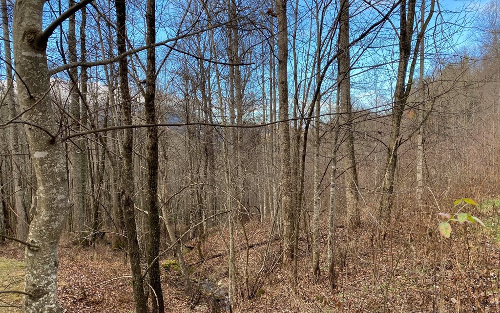 Lot M2 Georgianna Lane