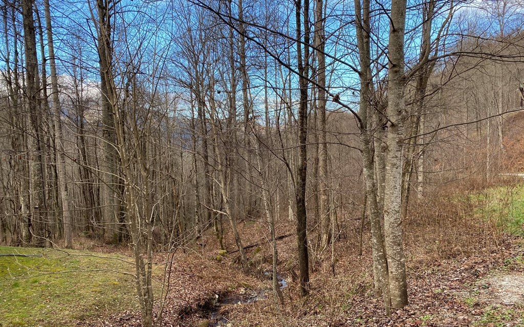 Lot M2 Georgianna Lane