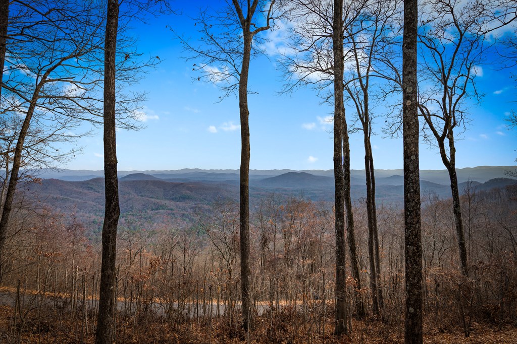 1115 Outlook Road