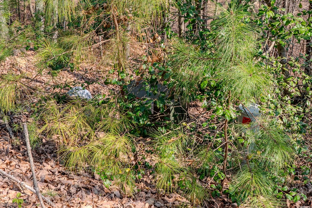 19/20 Summer Cove Road