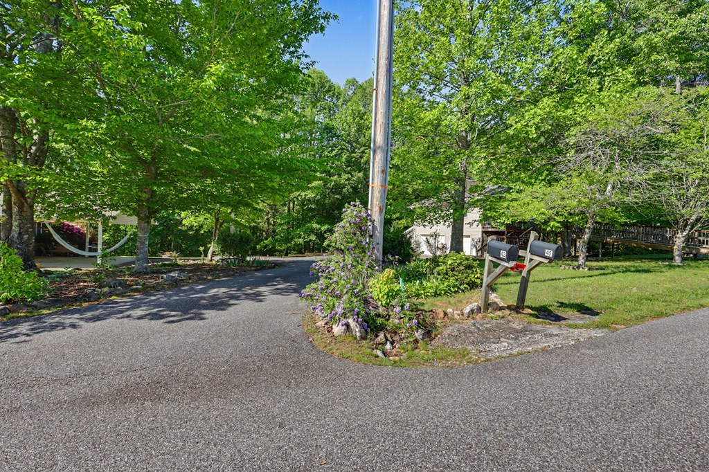 43 Ed Sexton Drive