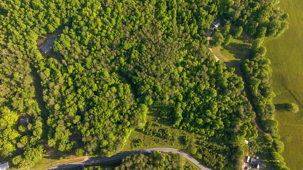 TR 3 W Gum Log Road