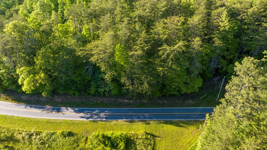 TR 3 W Gum Log Road