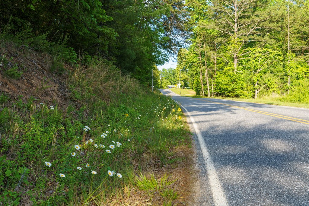 TR 3 W Gum Log Road