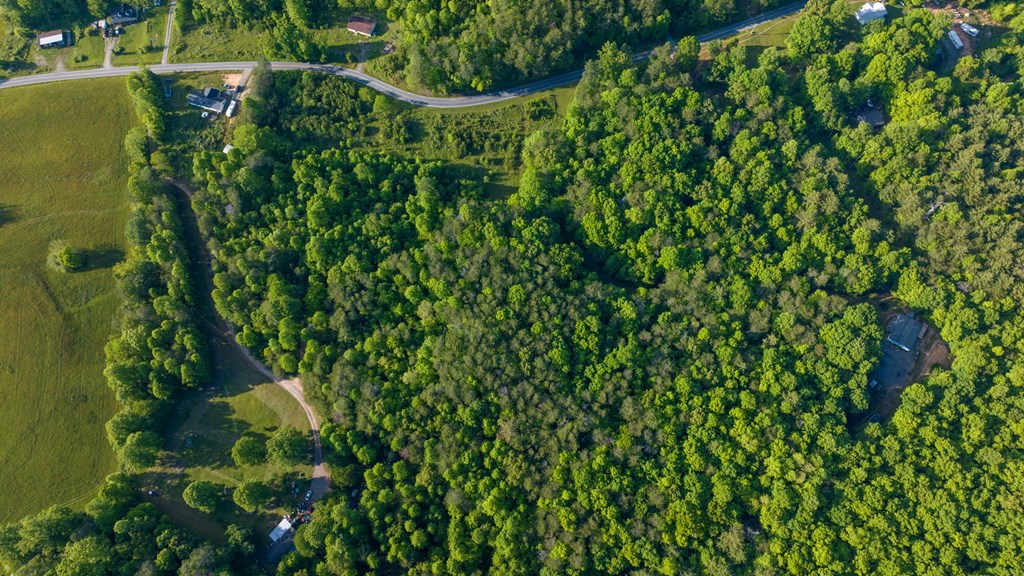 TR 3 W Gum Log Road