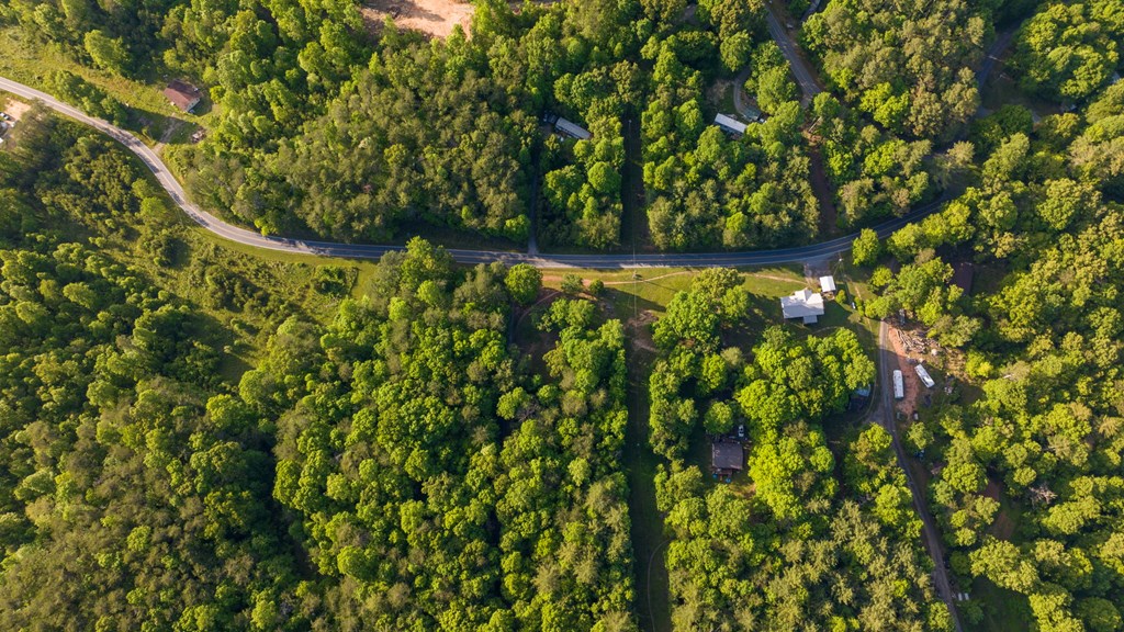 TR 3 W Gum Log Road