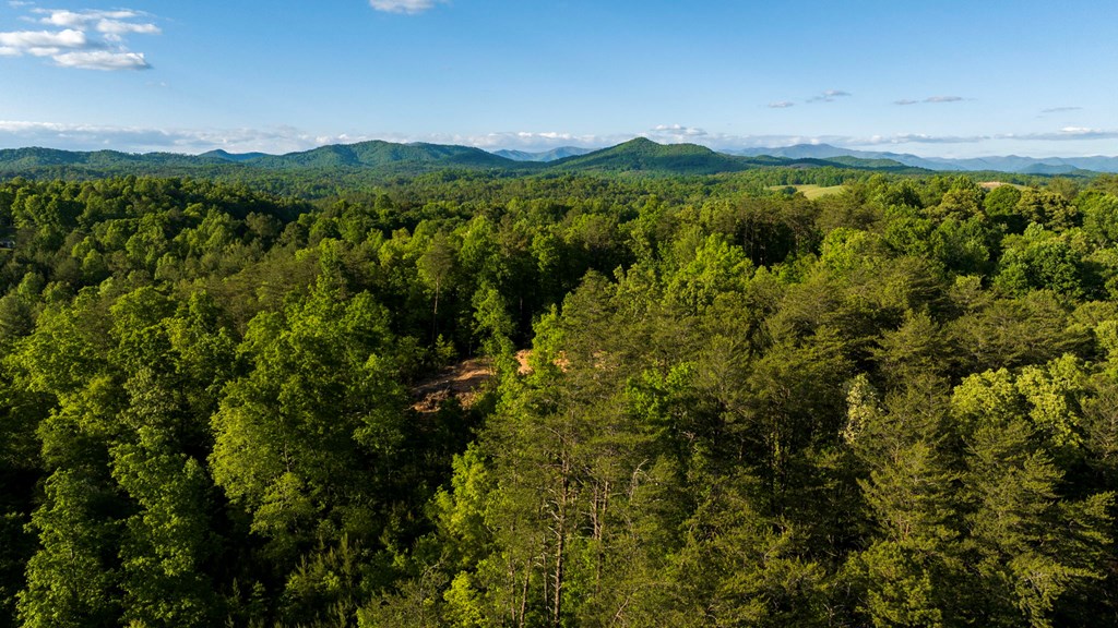 TR 1&2 W Gum Log Road