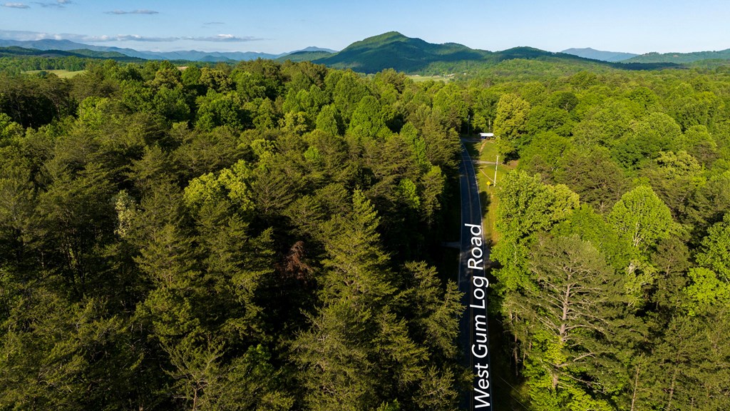 TR 1&2 W Gum Log Road
