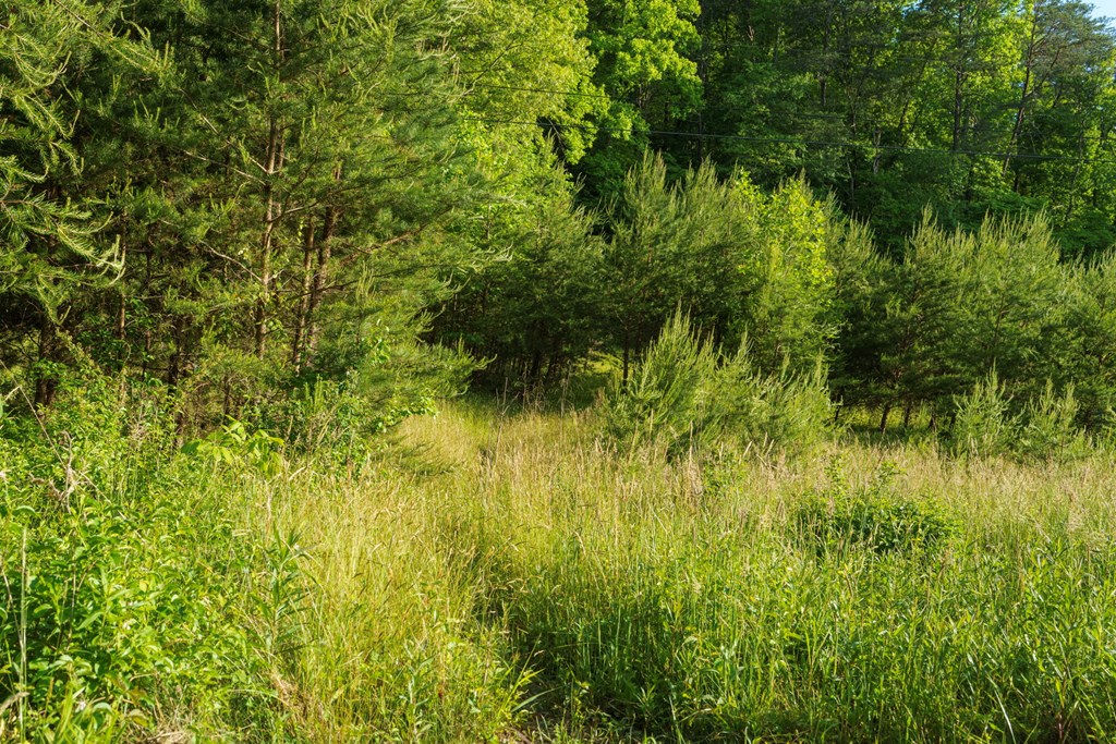 TR 1&2 W Gum Log Road