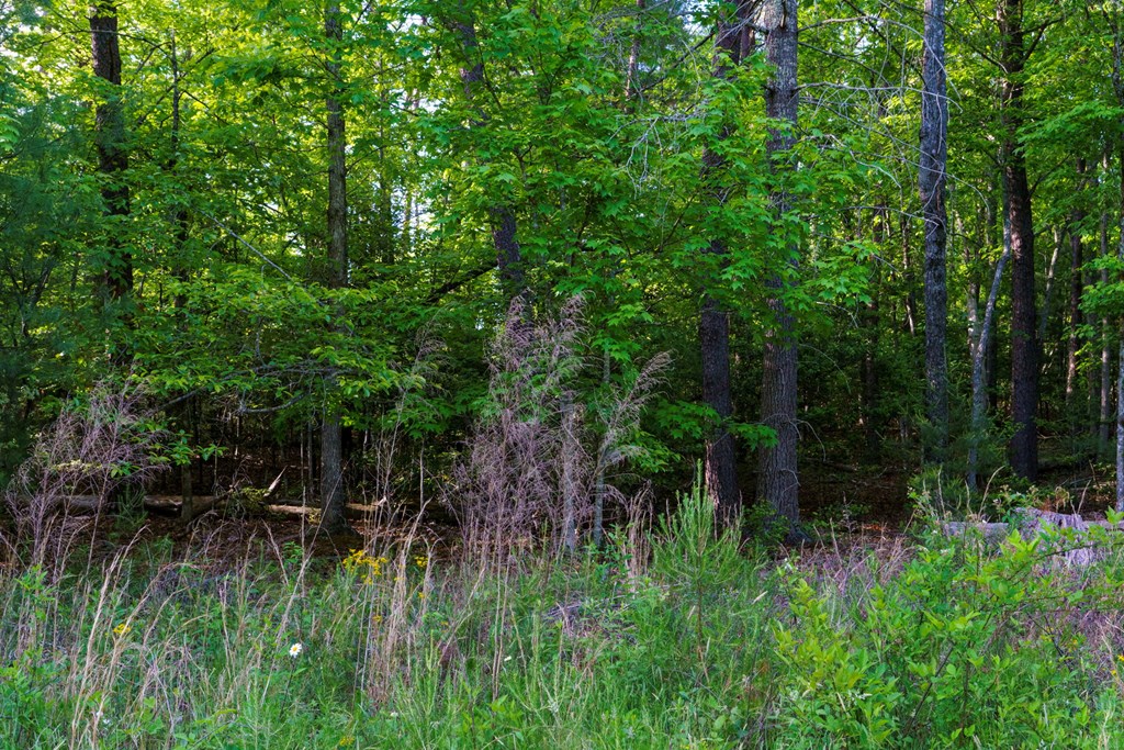 TR 1&2 W Gum Log Road
