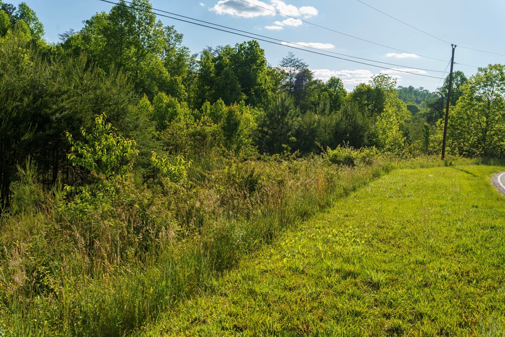 TR 1&2 W Gum Log Road